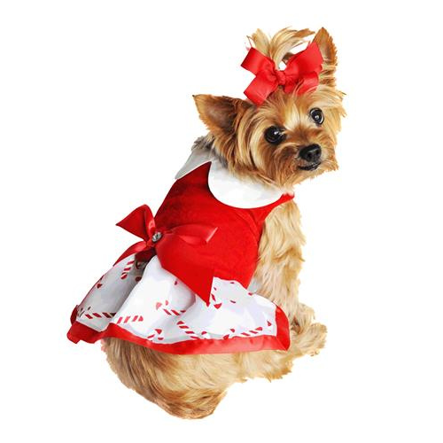 Doggie Design Christmas Candy Cane Holiday Dog Dress on Dog