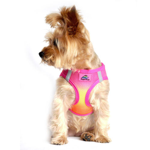 Pink Cotton Candy Ombre Choke Free Dog Harness Size XS 