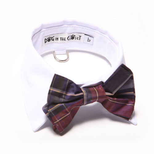 Dog In The Closet White Shirt Collar With Purple Plaid Bow Tie Dog Collar