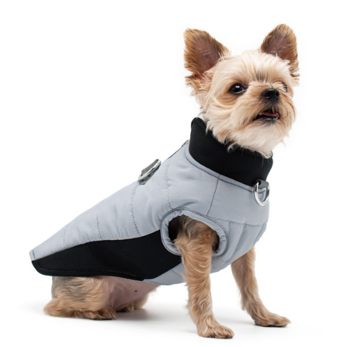 Dogo Pet Fashions Gray Insulated Urban Runner Winter Dog Coat  on Dog