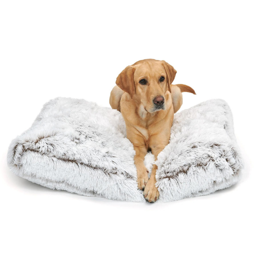 Jax & Bones Signature Rectangle Pillow Dog Bed — Arctic Shag with Dog