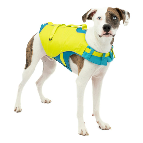 Kurgo Yellow Surf N Turf Dog Life Jacket Floatation Coat on Dog