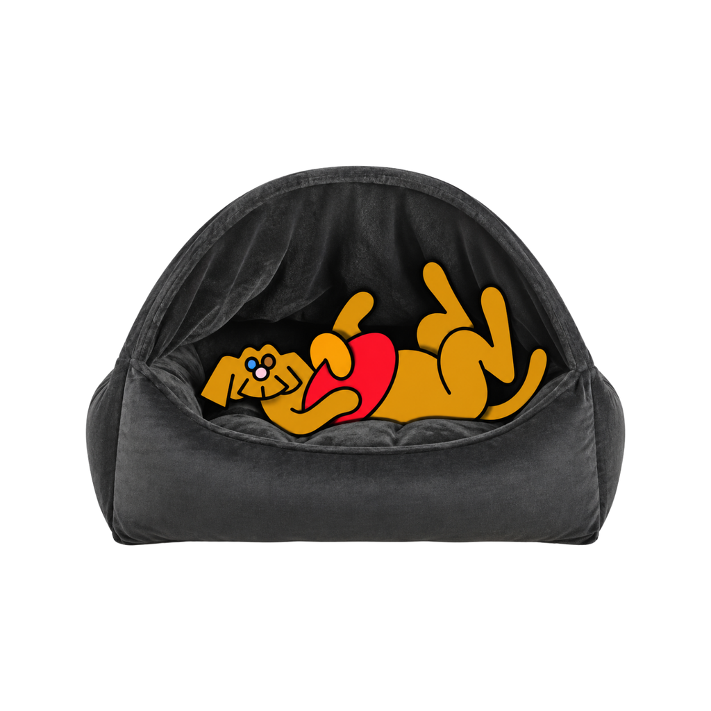 Bowsers Canopy dog bed in charcoal with the illustrated Fetch dog lounging belly-up inside with a red frisbee.