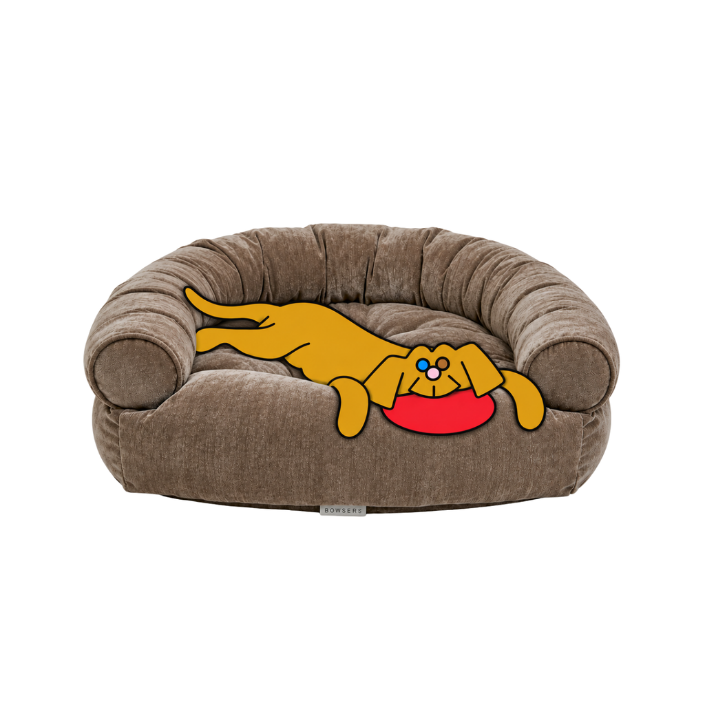 Bowsers Double Donut dog bed in brown with the illustrated Fetch dog stretched across the bolsters above a red frisbee.