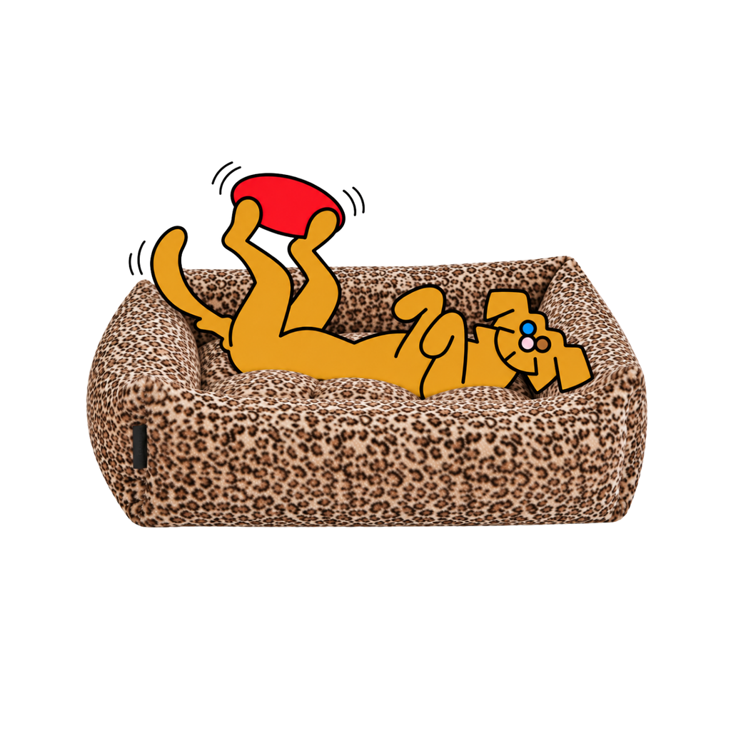 Bowsers Franklin dog bed in leopard print with the illustrated Fetch dog belly-up, holding a red frisbee between his hind paws.