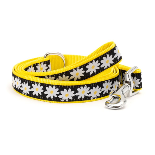 The Worthy Dog Black Lazy Daisy Ribbon Nylon Webbing Matching Lead