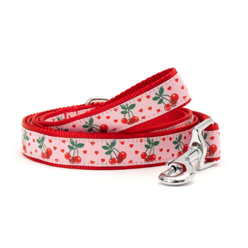 The Worthy Dog Pink Cherries Jubilee Ribbon Nylon Webbing Matching Lead