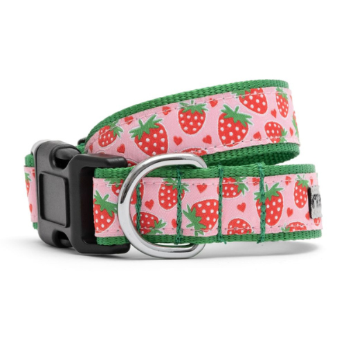 Strawberries Collar