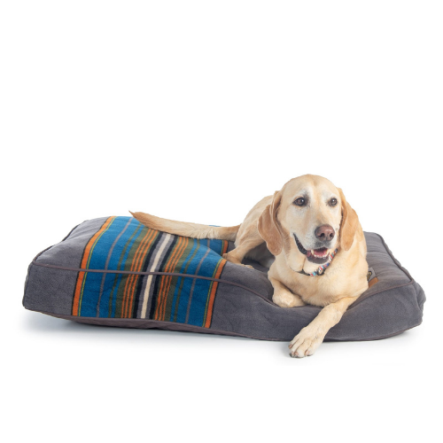 Carolina Pet Company Classic Pendleton Napper Dog Bed — Olympic Park with Dog