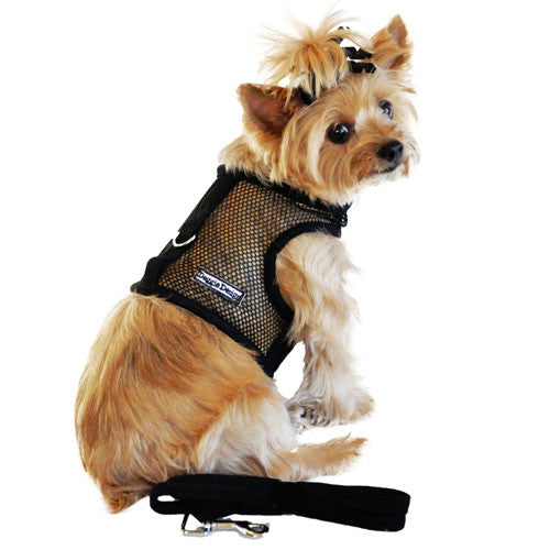 Doggie Design Cool Netted Mesh Dog Harness — Black On Dog