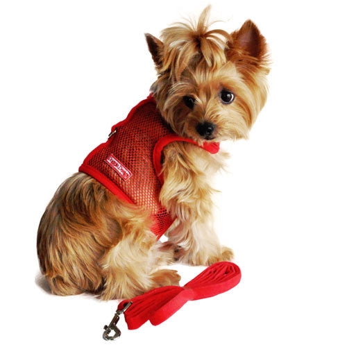 Doggie Design Cool Netted Mesh Dog Harness — Red On Dog
