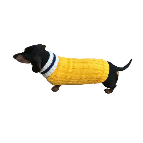 Dallas Dogs Preppy Pup Acrylic Dog Sweater — Yellow Navy