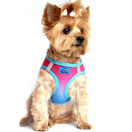Doggie Design Ombre American River Choke Free Dog Harness — Sugar Plum on Dog