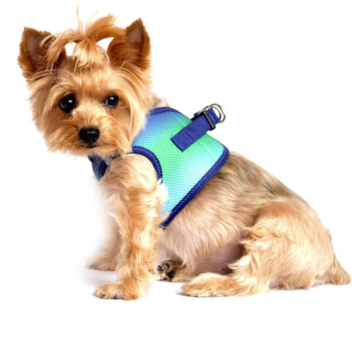 Doggie Design Ombre American River Choke Free Dog Harness — Northern Lights on Dog Side View