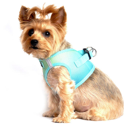 Doggie Design Ombre American River Choke Free Dog Harness — Aruba Blue on Dog Side View