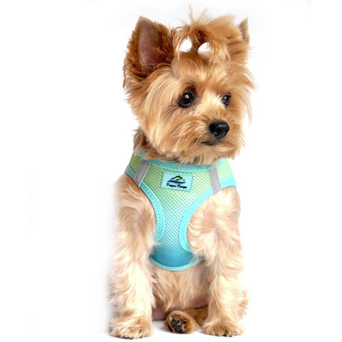 Doggie Design Ombre American River Choke Free Dog Harness — Aruba Blue on Dog
