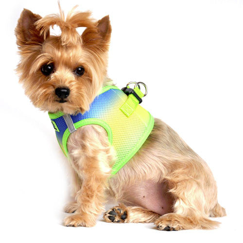 Doggie Design Ombre American River Choke Free Dog Harness — Cobalt Sport on Dog Side View