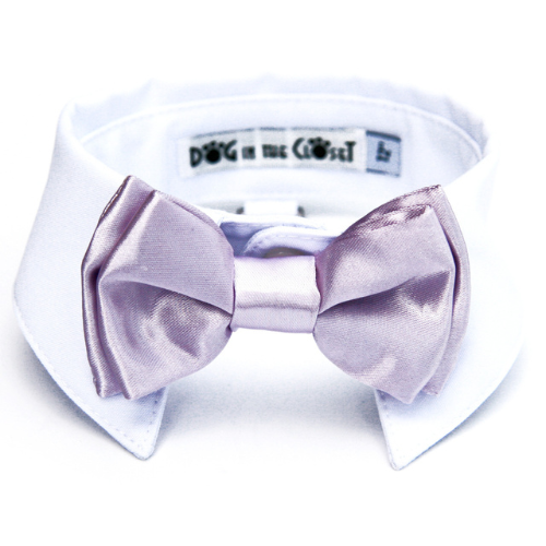 Dog In The Closet White Shirt Collar With Lilac Bow Tie Dog Collar