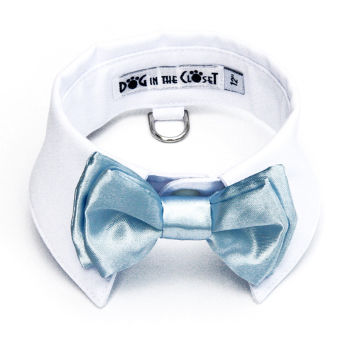 Dog In The Closet White Shirt Collar With Light Blue Bow Tie Dog Collar