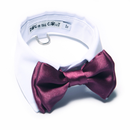 Dog In The Closet White Shirt Collar With Purple Bow Tie Dog Collar
