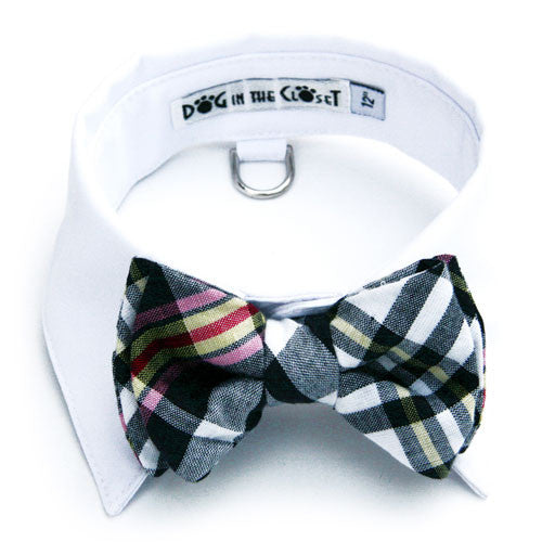 Dog In The Closet Whitw Shirt Collar with Dark Navy & White Madras Bow Tie