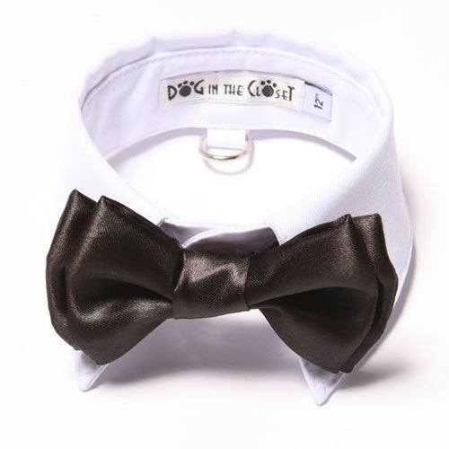 Dog In The Closet White Shirt Collar With Black Bow Tie Dog Collar
