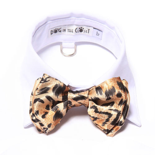 Dog In The Closet White Shirt Collar With Leopard Bow Tie Dog Collar