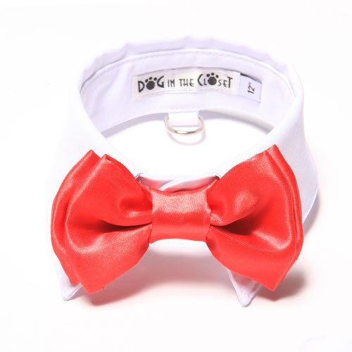 Dog In The Closet White Shirt Collar With Red Bow Tie Dog Collar