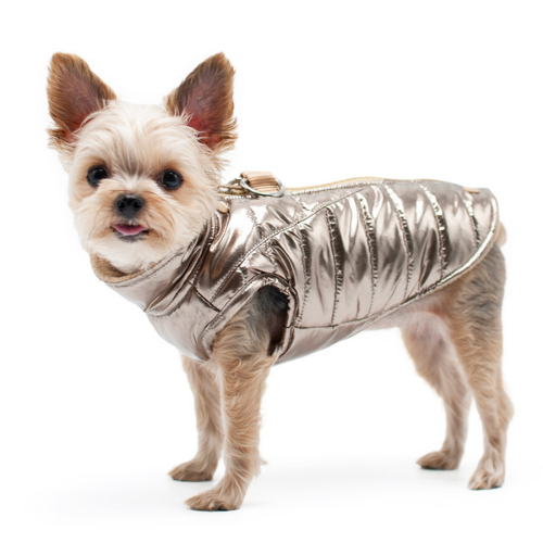 Dogo Pet Fashions Metallic Athletic Runner Winter Dog Coat  on Dog'