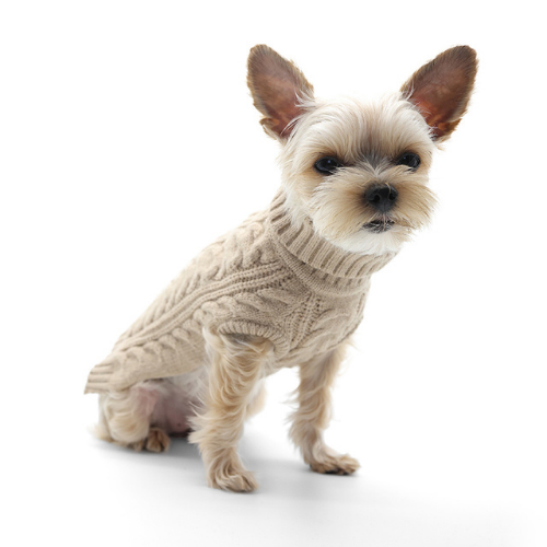 Dogo Pet Fashions Cable Turtleneck Dog Sweater on Dog Front View