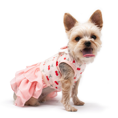 Dogo Pet Fashions Cherish Cherry Dog Dress — On Dog