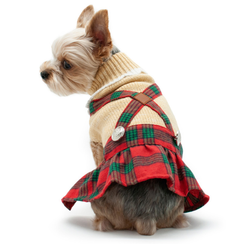 Dogo Pet Fashions Holiday Plaid Sweater Dress on Dog