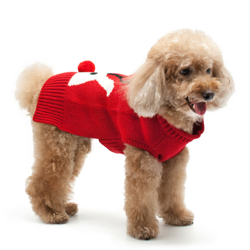 Dogo Pet Fashions Red Nose Reindeer Holiday Dog Sweater on Dog View