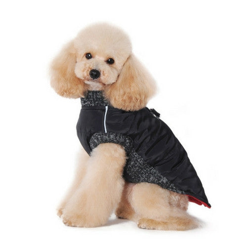 Dogo Pet Fashions Black Runner Winter Dog Coat on Dog Side View