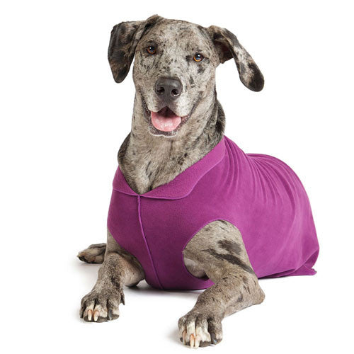 Gold Paw Series Stretch Fleece Pullover Dog Clothing — Eggplant