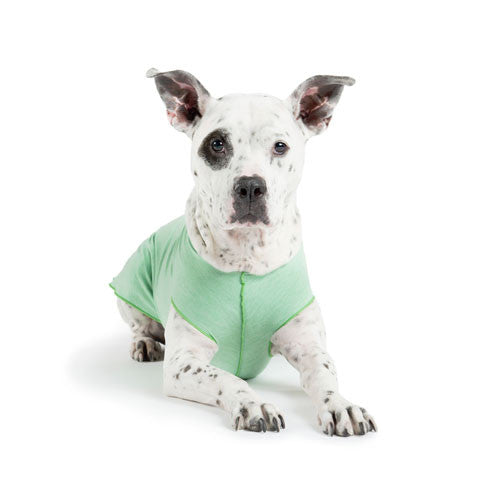 Gold Paw Series Sun Shield UV Protection Dog Tee Shirt Pistachio Heather