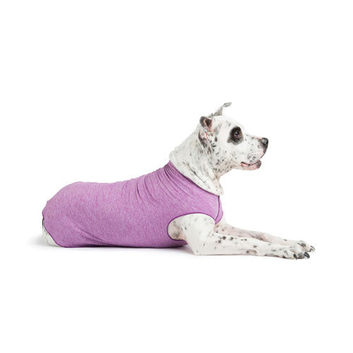 Gold Paw Series Sun Shield UV Protection Dog Tee Shirt Violet Heather