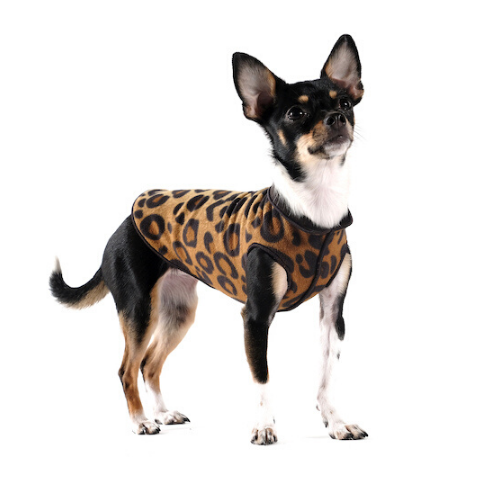 Gold Paw Series Duluth Double Fleece Pullover Dog — Leopard Black