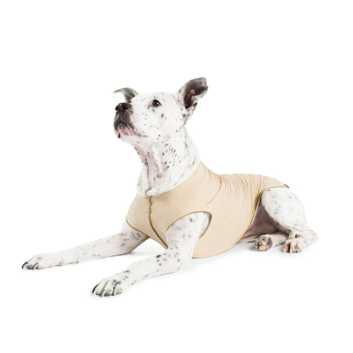 Gold Paw Series Sun Shield UV Protection Dog Tee Shirt Sand
