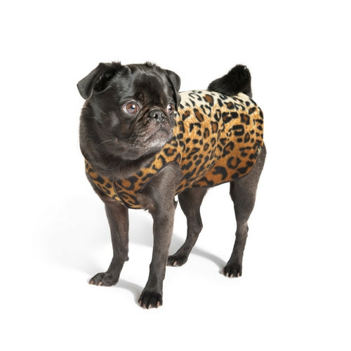 Gold Paw Series Stretch Fleece Pullover Dog Clothing — Leopard