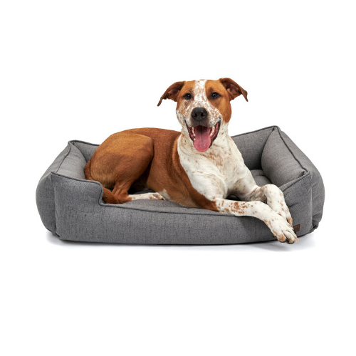 Jax & Bones Memory Foam Cuddler Orthopedic Dog Bed — Lark Graphite with Dog