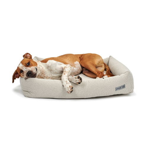 Jax & Bones Memory Foam Cuddler Orthopedic Dog Bed — Lark Ivory with Dog