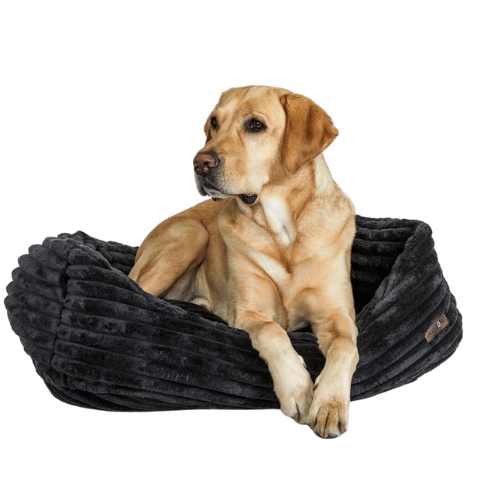 Jax & Bones Plush Wide Wale Corduroy Napper Nest Dog Bed — Luna Black with Dog