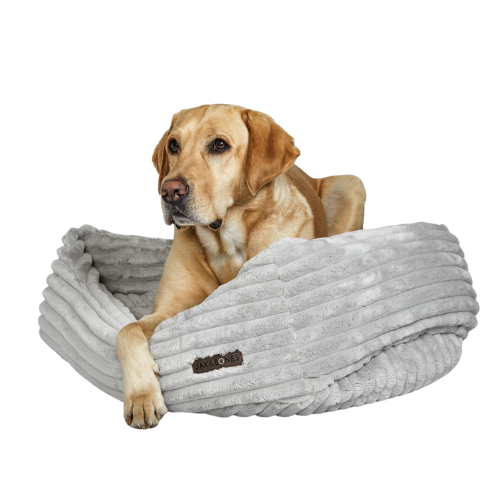 Jax & Bones Plush Wide Wale Corduroy Napper Nest Dog Bed — Luna Grey with Dog