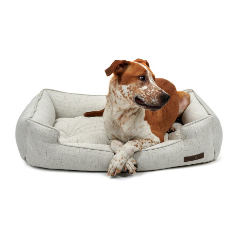 Jax & Bones Sleeper Bolstered Rectangular Nesting Dog Bed — Lark Ivory with dog