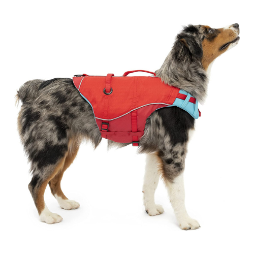 Kurgo Red Surf N Turf Dog Life Jacket Floatation Coat on Dog
