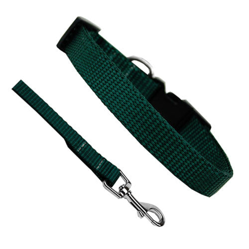 Basic Style Woven Nylon Solid Collar and Lead Set Green