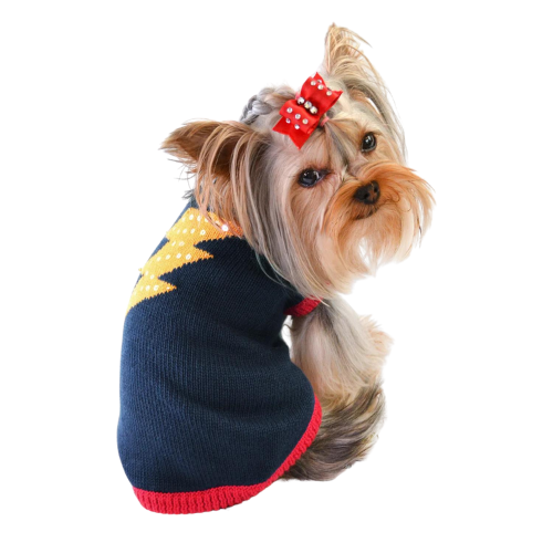 Oscar Newman Dash of Flash Lightning Bolt Super-Hero Dog Sweater on Dog