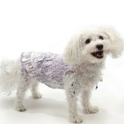 Oscar Newman Designer Eye Candy Smocked Cotton Eyelet Dog Dress Violet On Dog