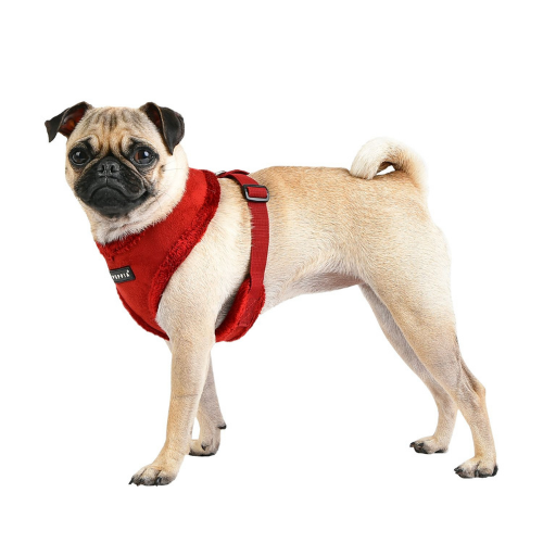 PUPPIA Terry Suede Dog Harness Wine on Pug
